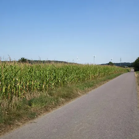 Escape In Haserich * 布兰肯拉特