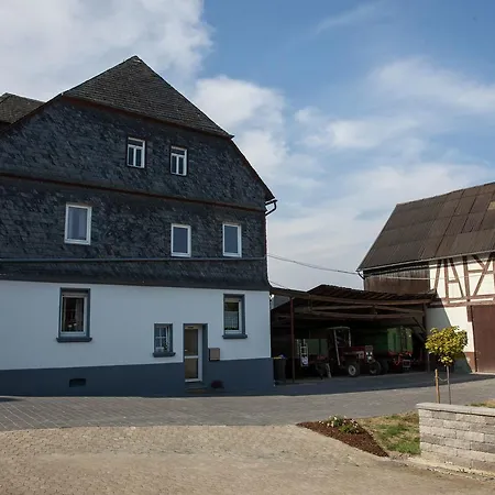 Holiday home Spacious Between Mosel And Hunsr Ck