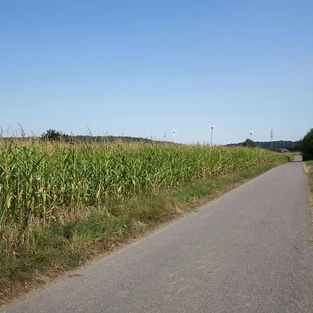 Spacious Between Mosel And Hunsr Ck *